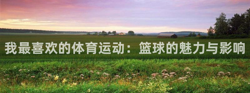 胜天国际平台注册：我最喜欢的体育运动：篮球的魅力与影响
