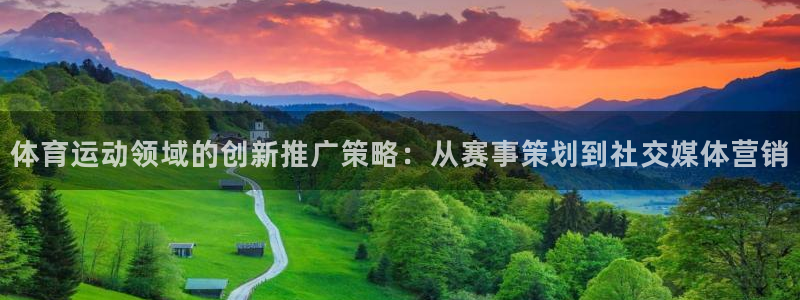 胜天国际体育官网登录：体育运动领域的创新推广策略：从赛事策划到社交媒体营销