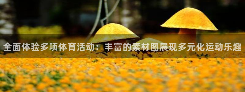 佛山市南海意昂机电仪器有限公司：全面体验多项体育活动：丰富的素材图展现多元化运动