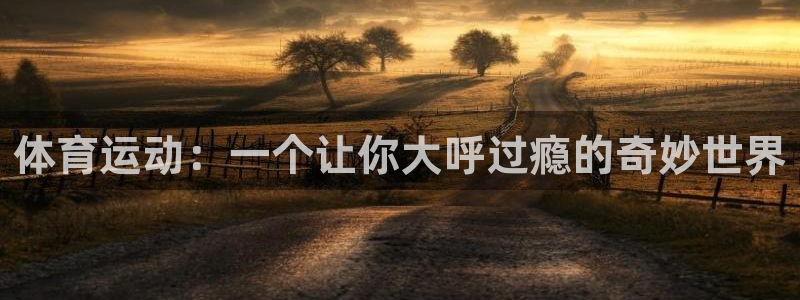 胜天国际平台注册：体育运动：一个让你大呼过瘾的奇妙世界