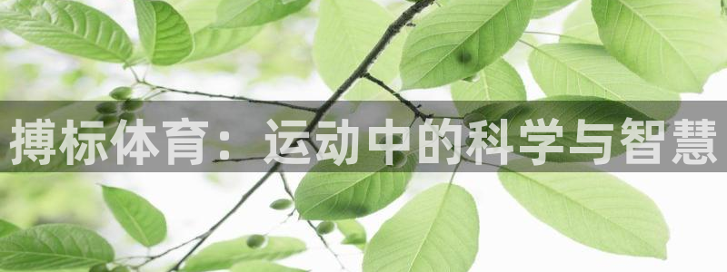 意昂5注册：搏标体育：运动中的科学与智慧