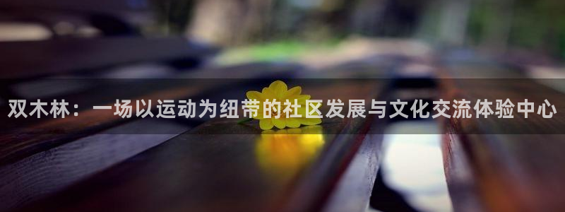 胜天国际平台登录：双木林：一场以运动为纽带的社区发展与文化交流体验中心