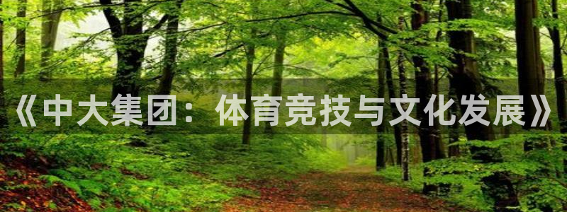 意昂体育注册：《中大集团：体育竞技与文化发展》