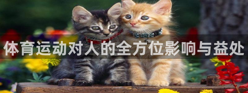 意昂3平台注册：体育运动对人的全方位影响与益处