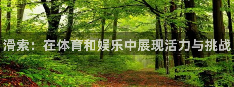 意昂3官网登录：滑索：在体育和娱乐中展现活力与挑战