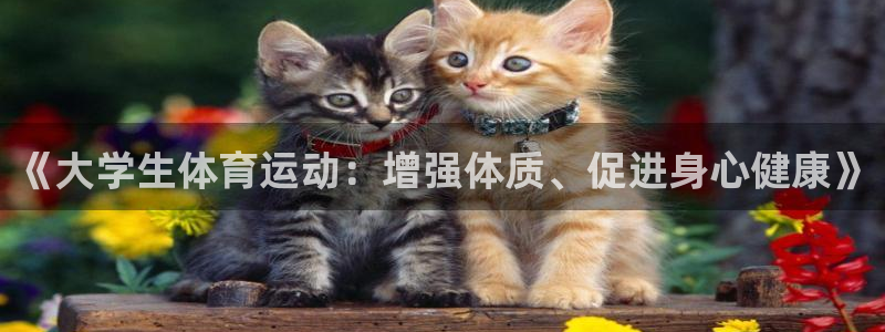 胜天国际官网注册：《大学生体育运动：增强体质、促进身心健康》