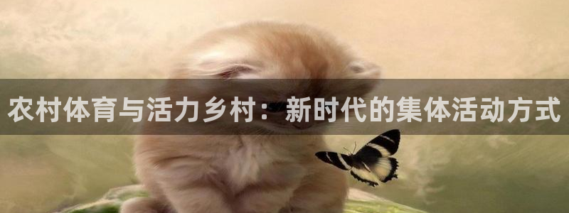 胜天国际招商：农村体育与活力乡村：新时代的集体活动方式