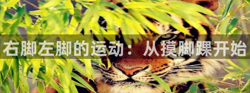 意昂集团股票：右脚左脚的运动：从摸脚踝开始