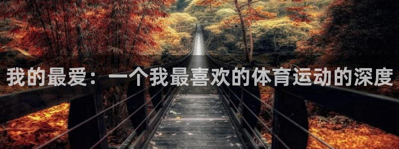 胜天国际4平台注册：我的最爱：一个我最喜欢的体育运动的深度