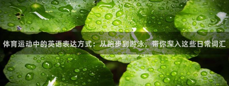 意昂3平台：体育运动中的英语表达方式：从跑步到游泳，带你深入这些日常词汇