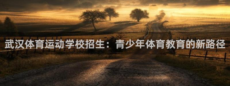 意昂3登录：武汉体育运动学校招生：青少年体育教育的新路径