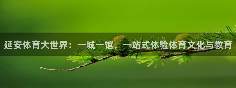 意昂4平台注册：延安体育大世界：一城一馆，一站式体验体育文化与教育