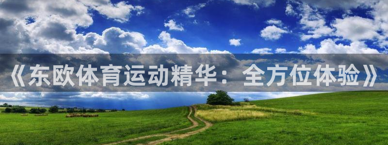 胜天国际主管