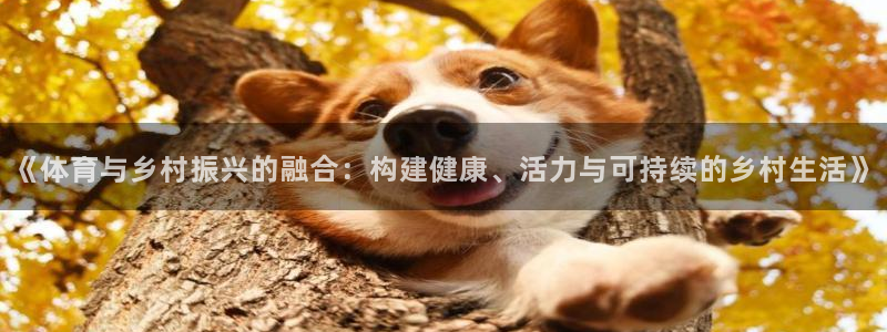 胜天国际能源