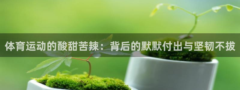 www.胜天国际体育.com：体育运动的酸甜苦辣：背后的默默付出与坚韧不拔
