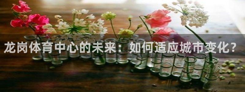 意昂注册：龙岗体育中心的未来：如何适应城市变化？