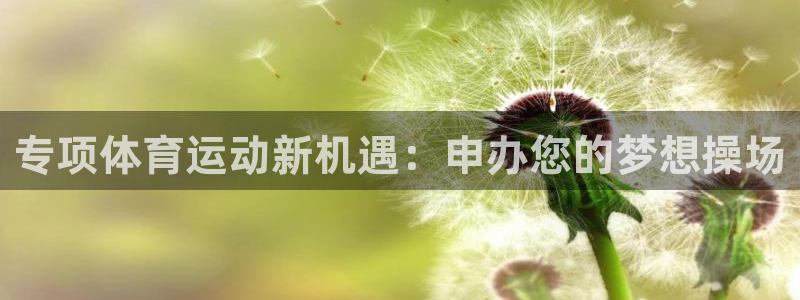 胜天国际体育网页版入口：专项体育运动新机遇：申办您的梦想操场