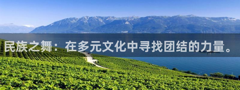 胜天国际f平台注册：民族之舞：在多元文化中寻找团结的力量。