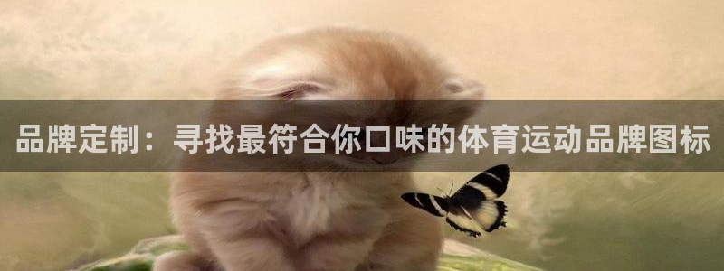 胜天国际登录入口：品牌定制：寻找最符合你口味的体育运动品牌图标